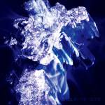 Eat You Alive : Dark In The Night